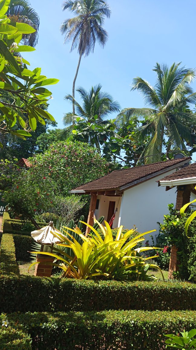 Hotel Escape Caribeño-度假村/酒店