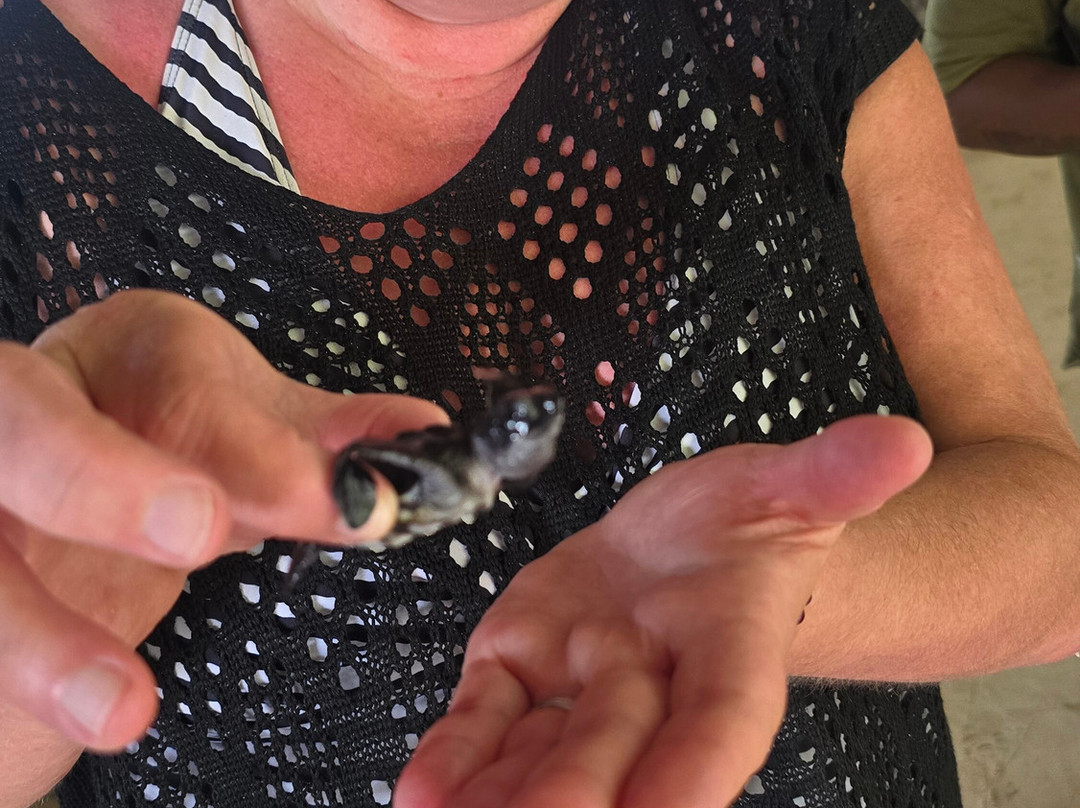 TRY LANKA TRAVEL-加勒必去景点