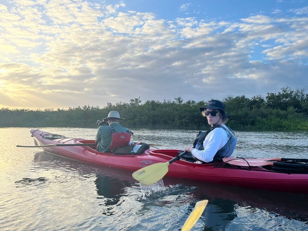 Ripple Effect Ecotours-圣奥古斯丁必去景点