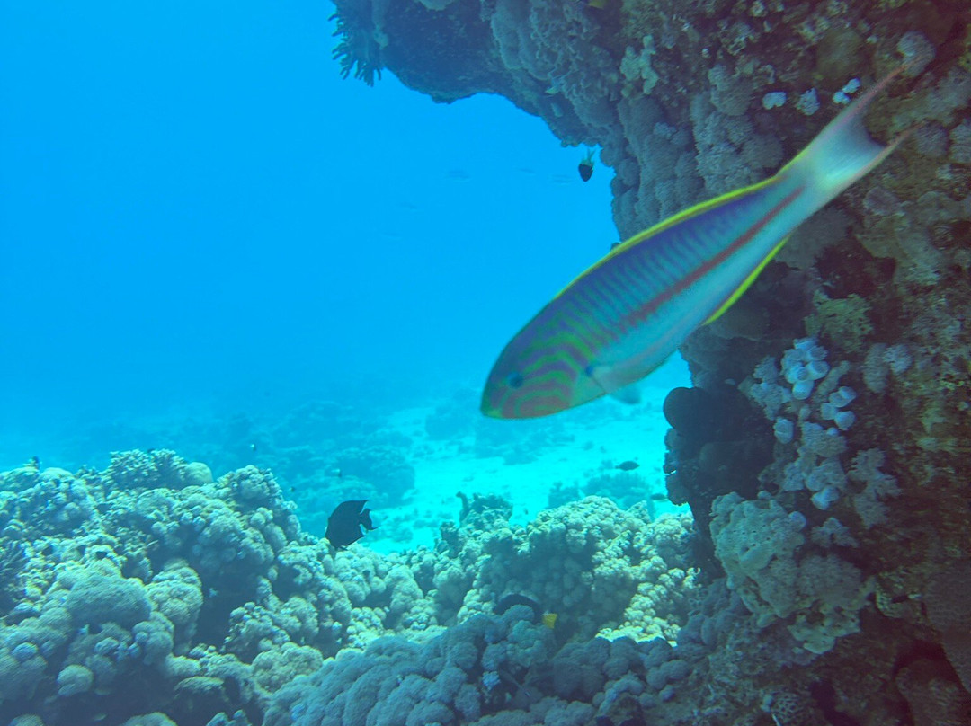 Egypt International-赫尔格达必去景点