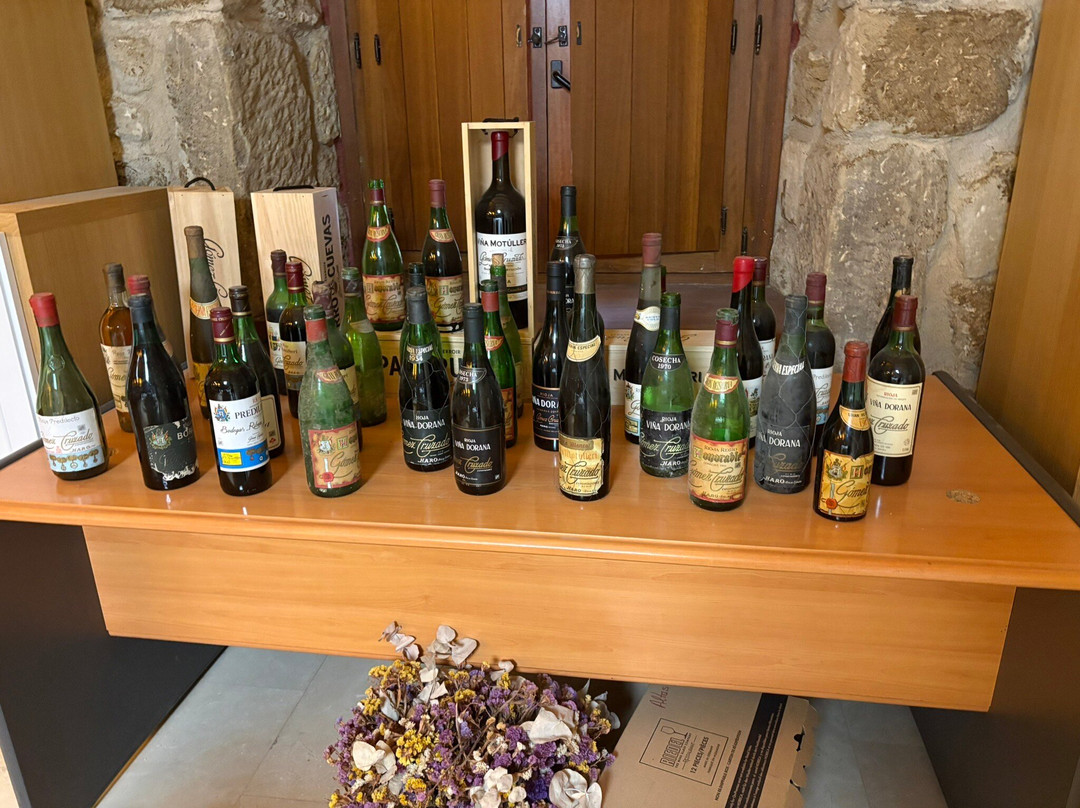 Bodegas y Vinedos Gomez Cruzado-哈罗必去景点