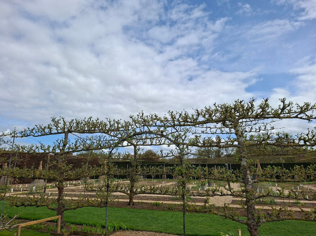 Houghton Hall and Gardens-Houghton必去景点