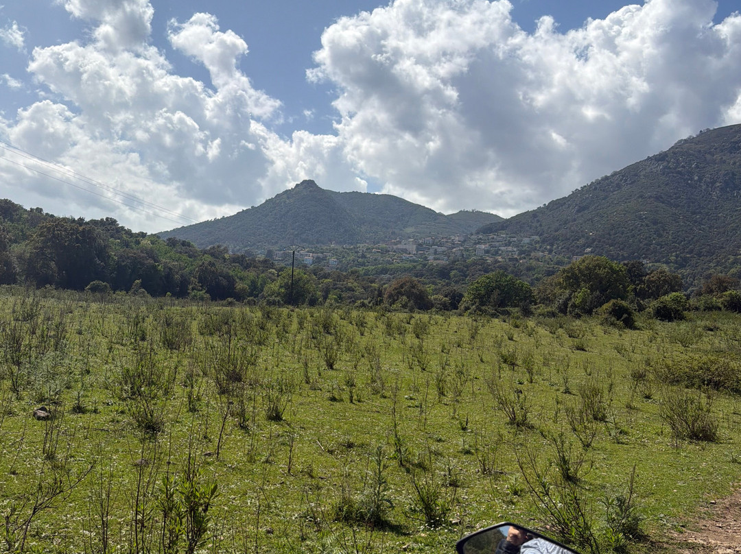 Corse Trike-Bastia必去景点