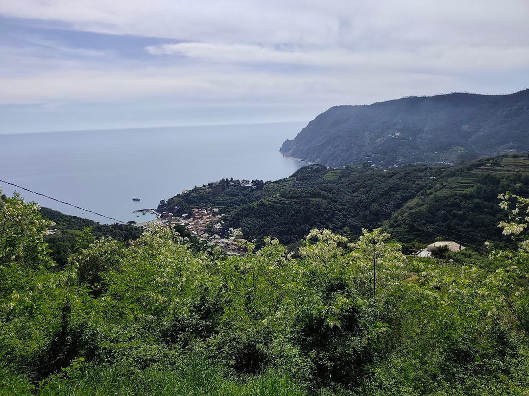 Cinque Terre Cooking School-滨海蒙特罗梭必去景点