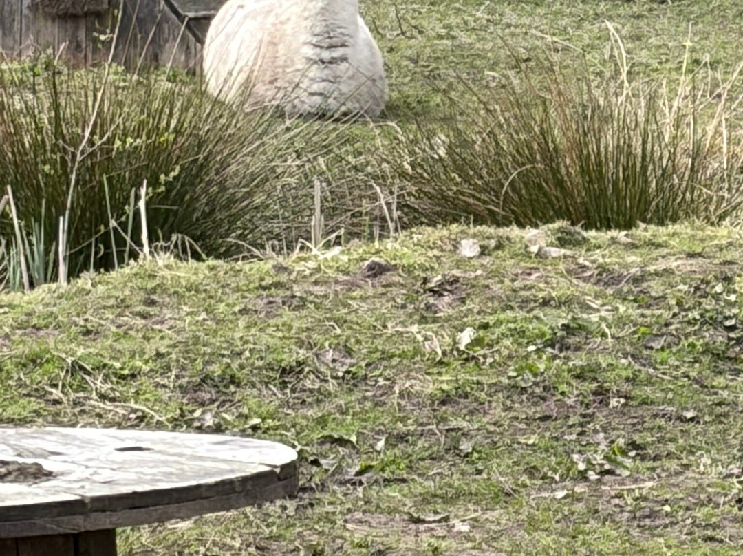Peak Wildlife Park-Winkhill必去景点