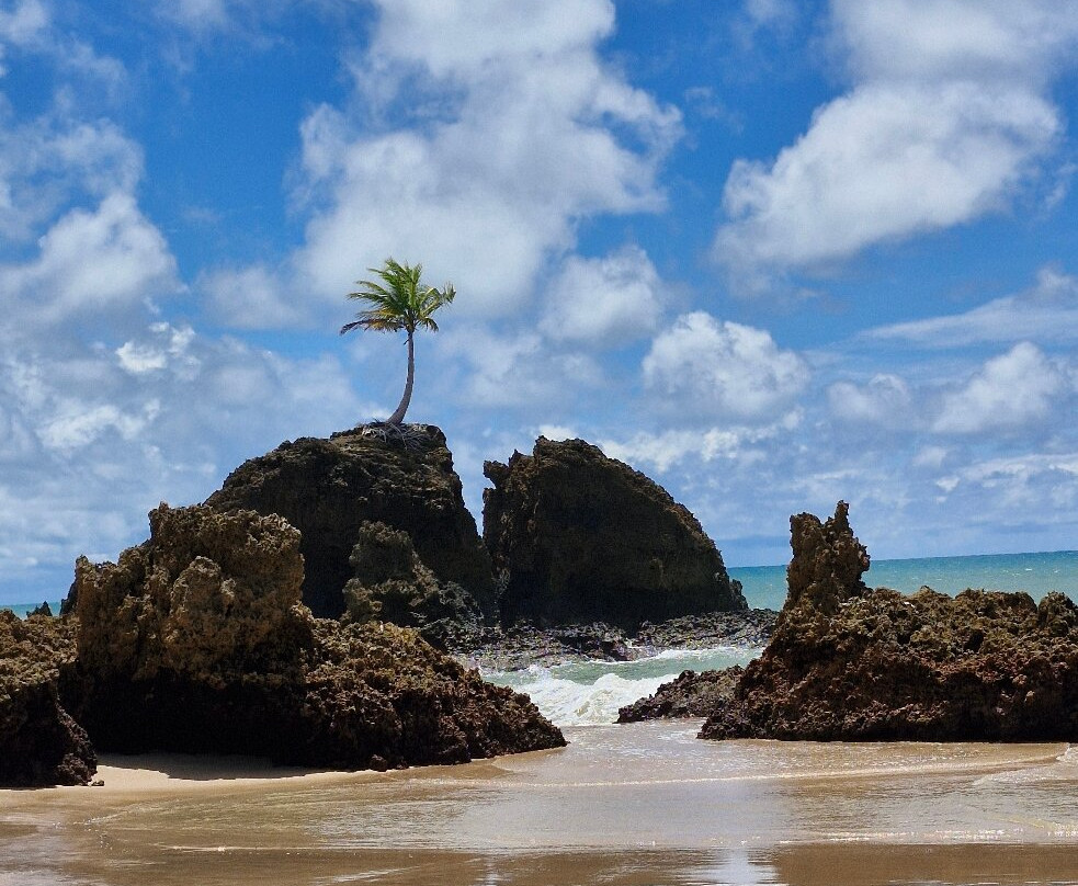 Praia de Tambaba-Conde必去景点