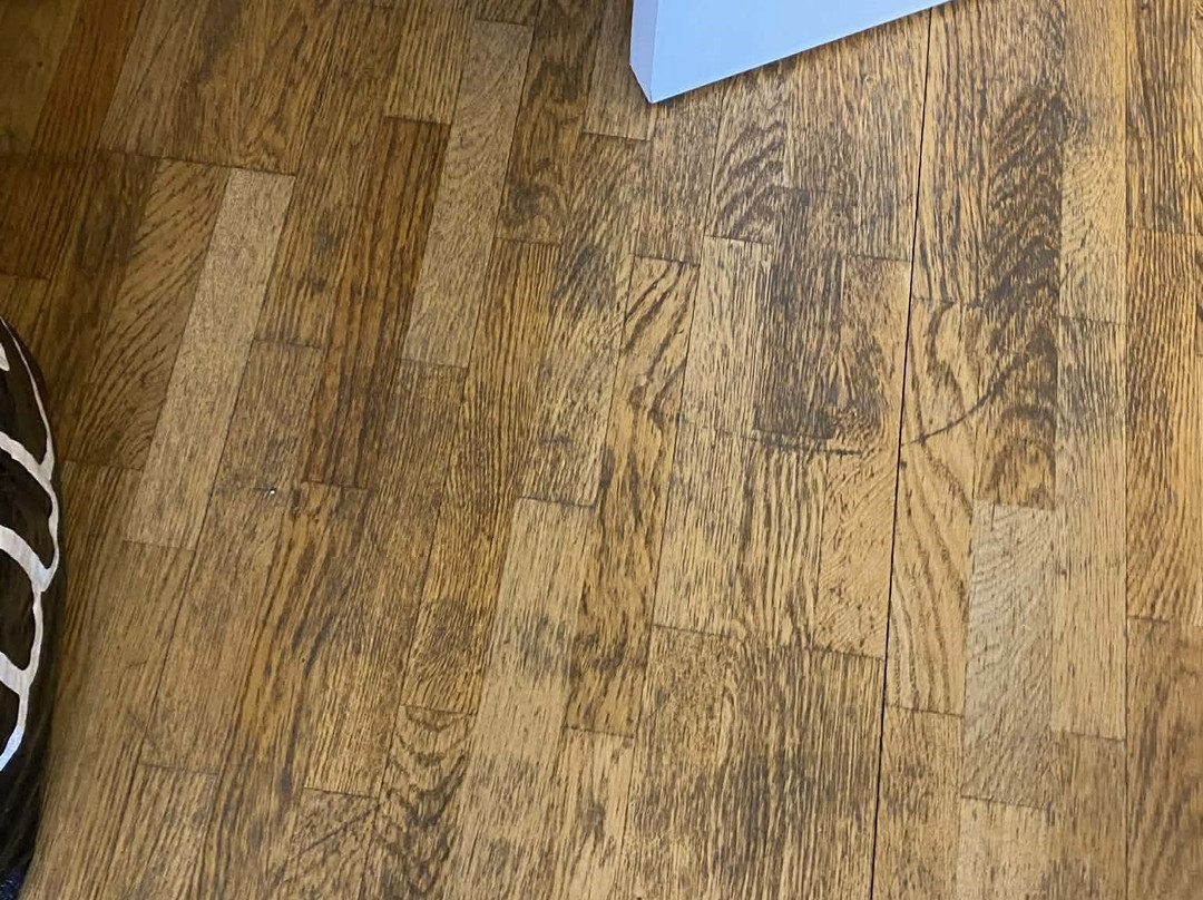 斯堪迪克厄勒布鲁瓦斯特酒店主图