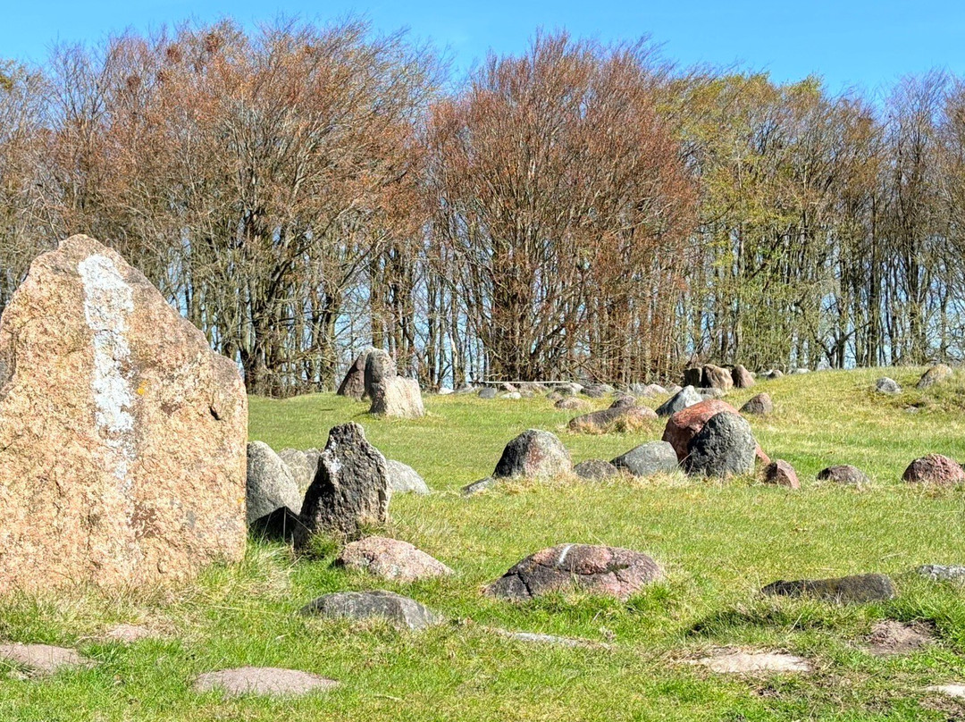 Vikingemuseet Lindholm Høje-Noerresundby必去景点