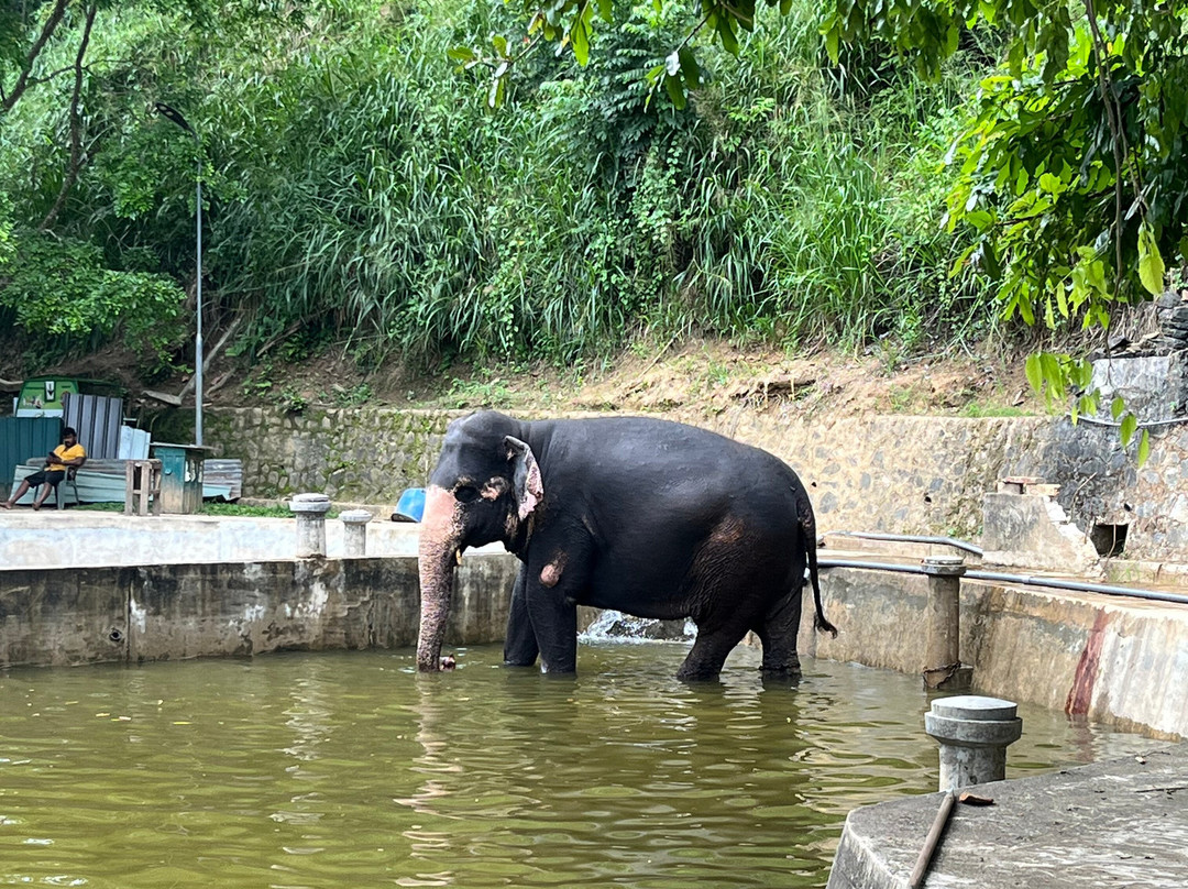 Kandy Trekking Tours-康提必去景点