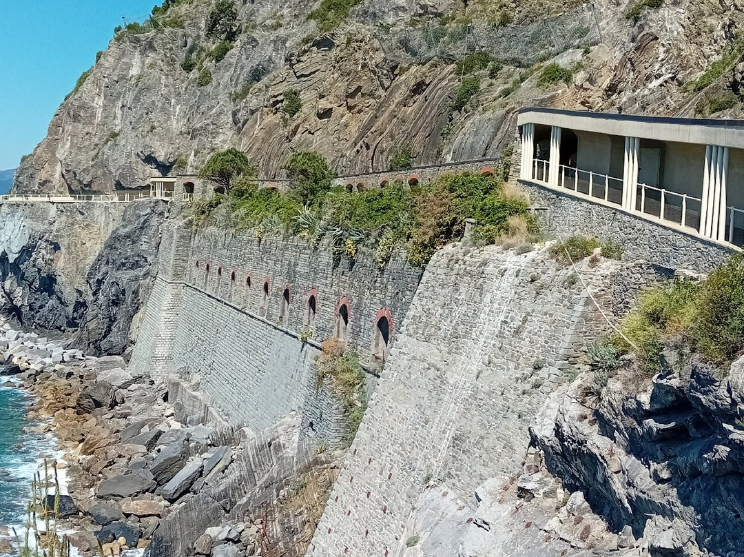 Via dell'Amore-里奥马焦雷必去景点