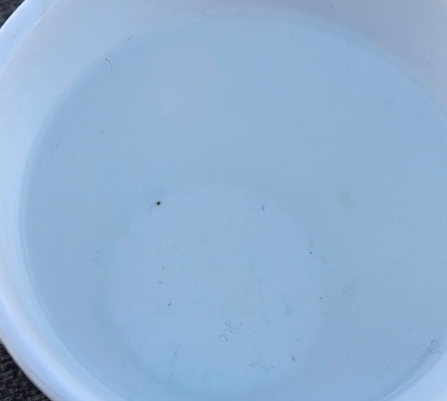 维尔索酒店主图