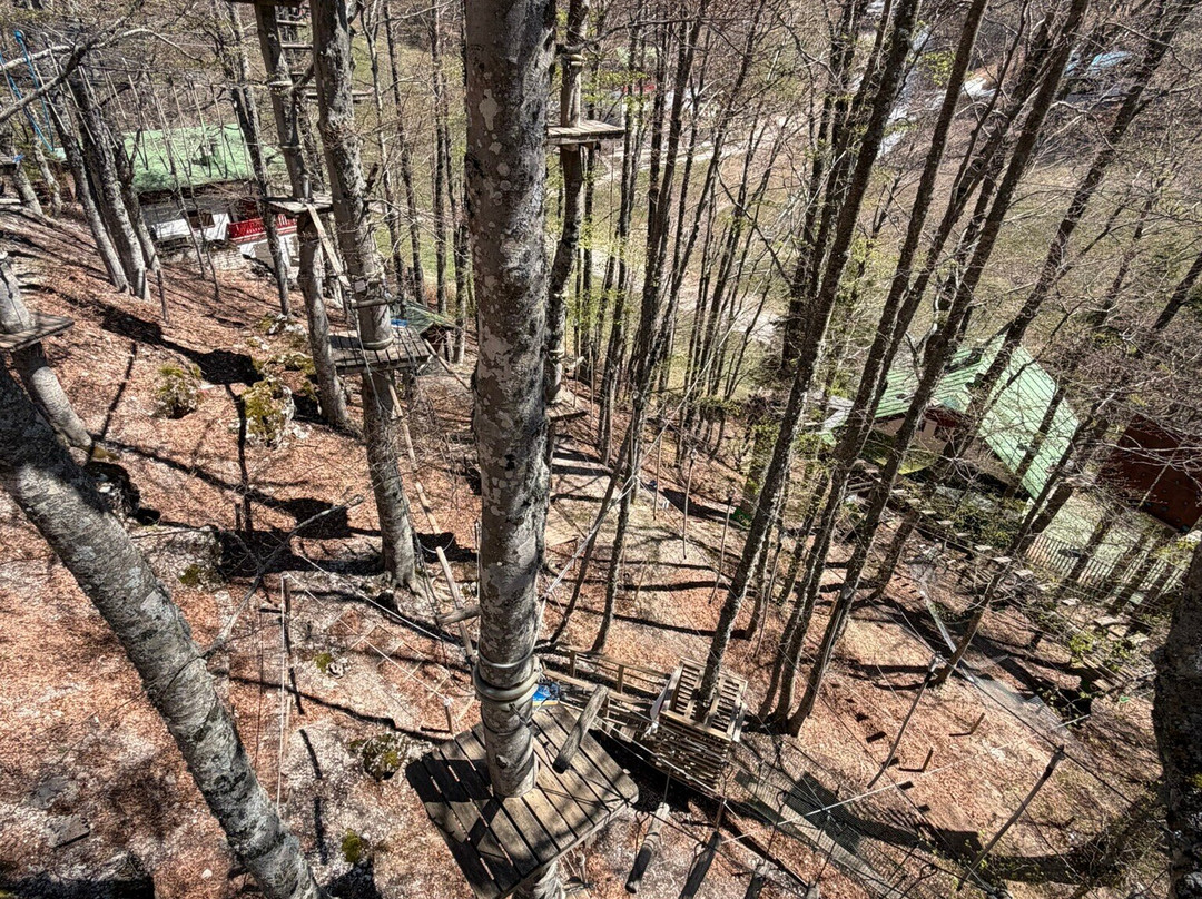 Squirrels Park-Monte Terminillo必去景点
