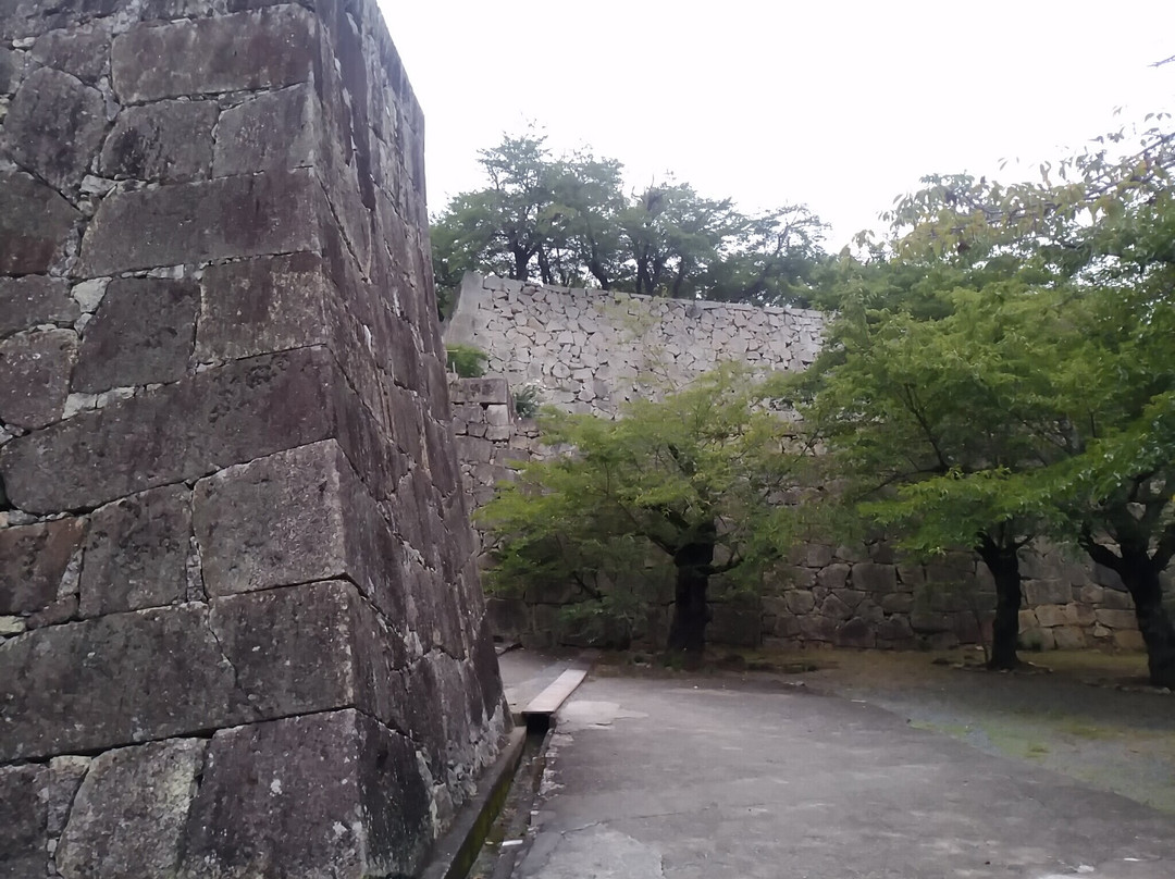 Tsuyama Castle (Kakuzan Park)-津山市必去景点