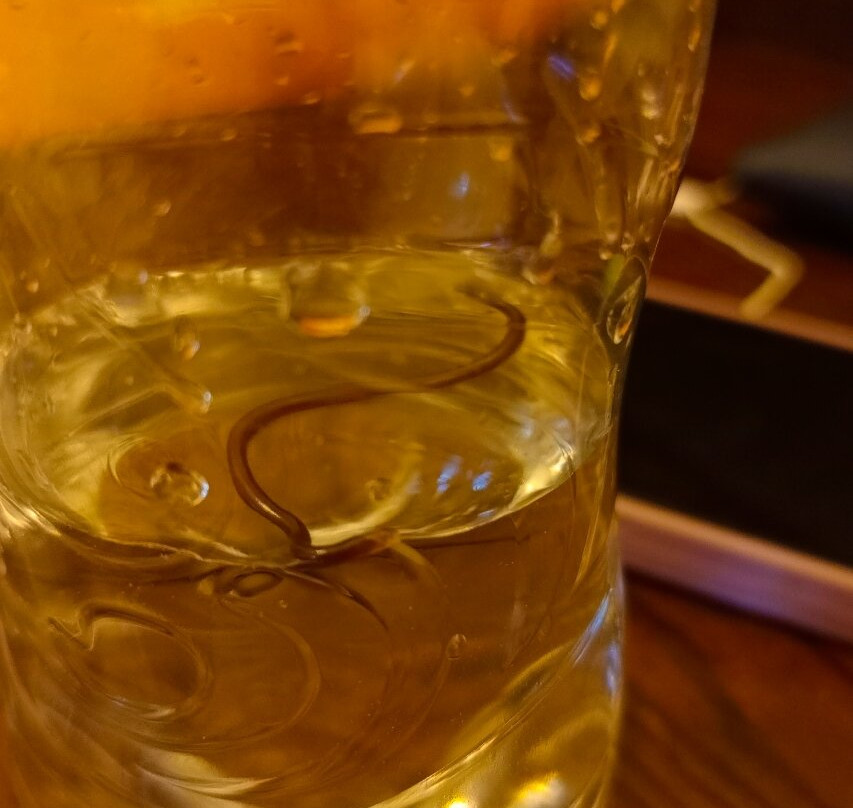 Tequendama农家乐酒店维拉维森西奥主图