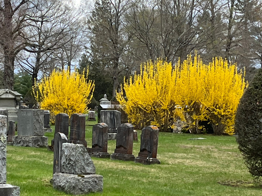 Laurel Hill Cemetery-萨考必去景点