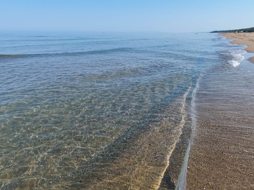 Rimigliano Coastal Park-圣温琴佐必去景点