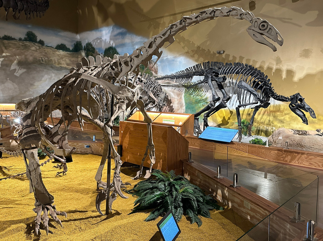 Wyoming Dinosaur Center-瑟莫波利斯必去景点