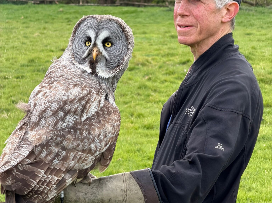 UK Owl And Raptor Centre-Groombridge必去景点