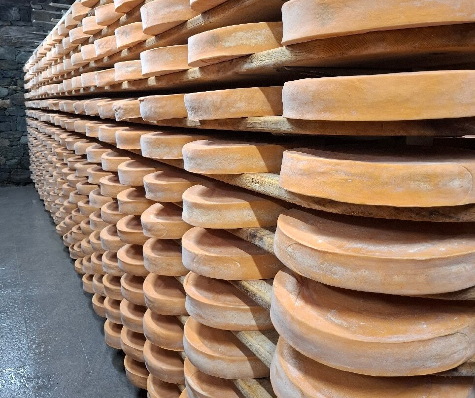 Azienda Agricola Lo Copafen-Chambave必去景点