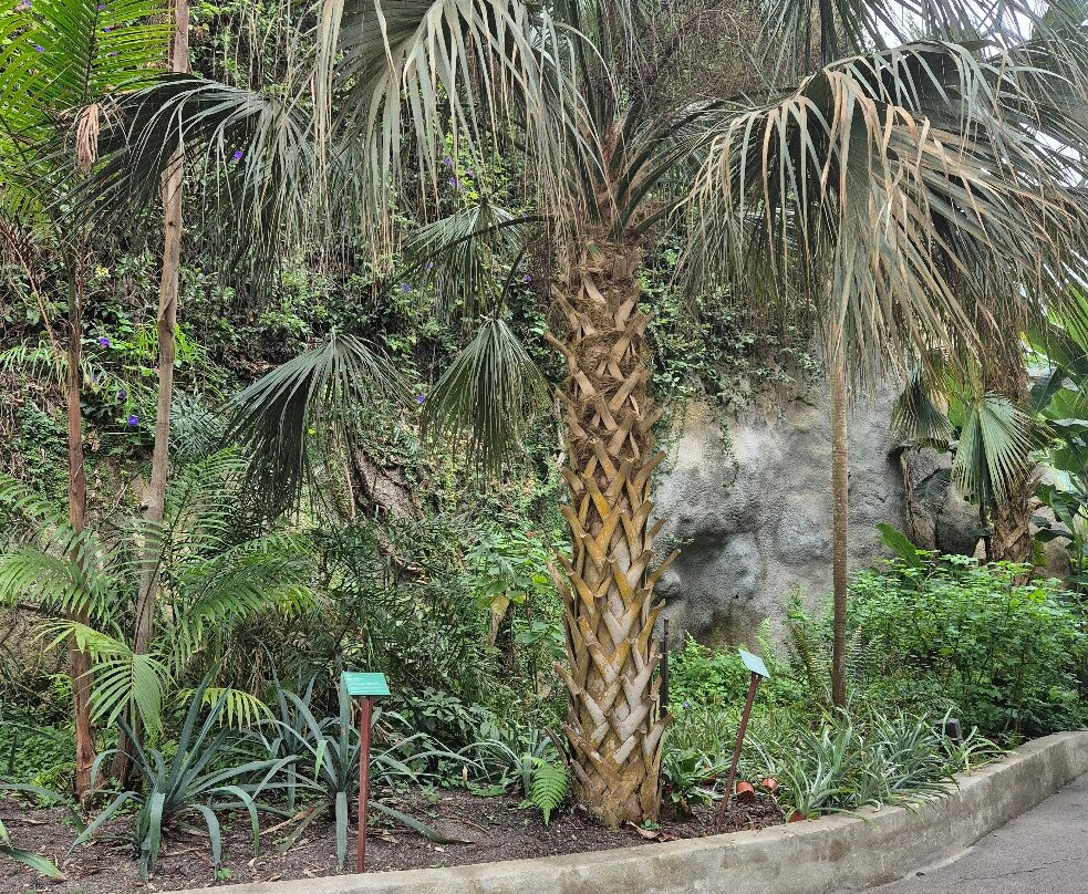 伊甸园植物园-Bodelva必去景点