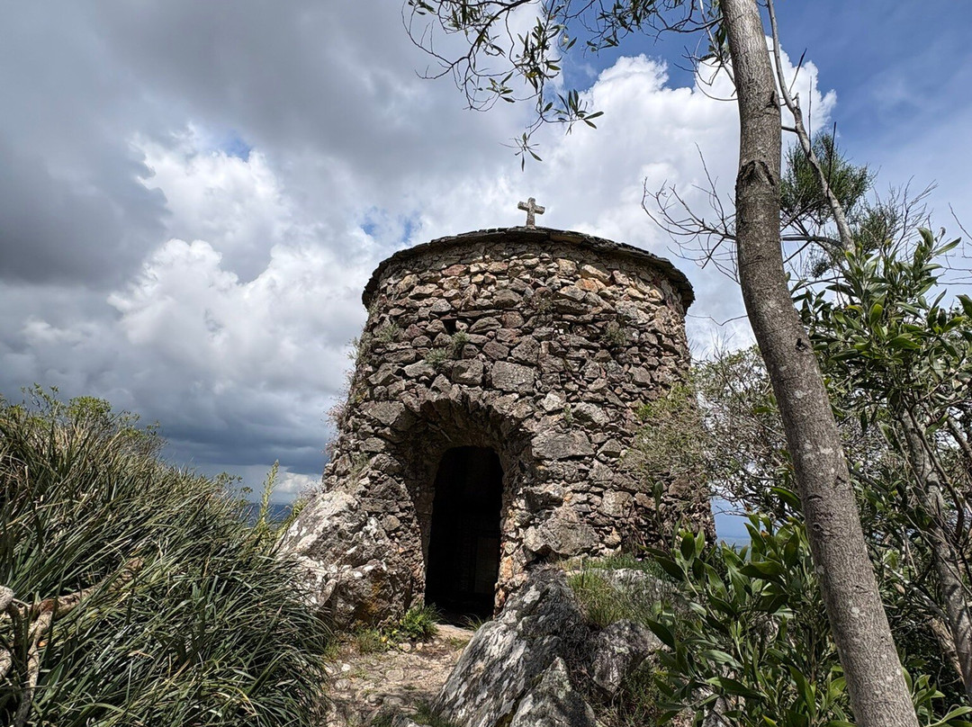 Mata Nacional do Bucaco-卢祖必去景点