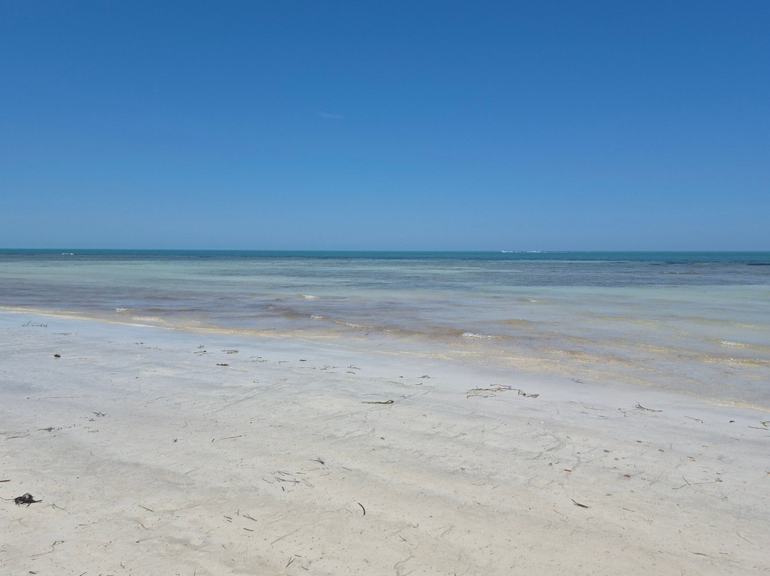 Seabel Rym Beach Djerba主图
