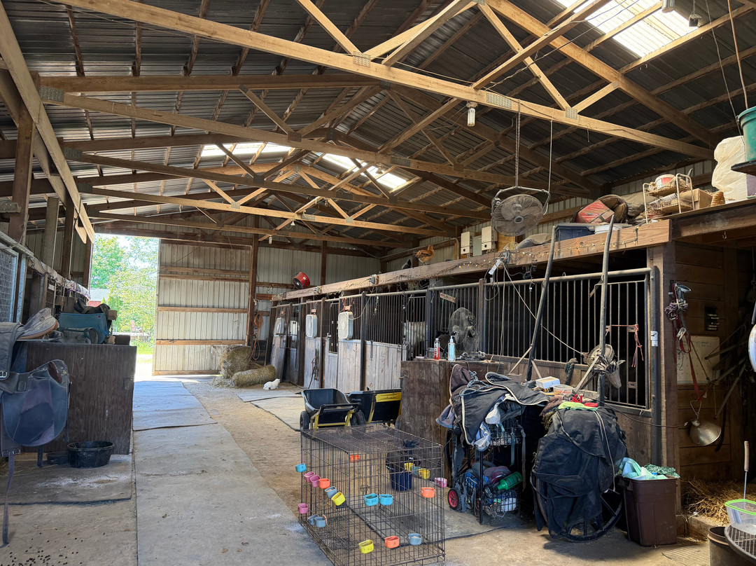 Pumpkin Ridge Animal Sanctuary-New Plymouth必去景点