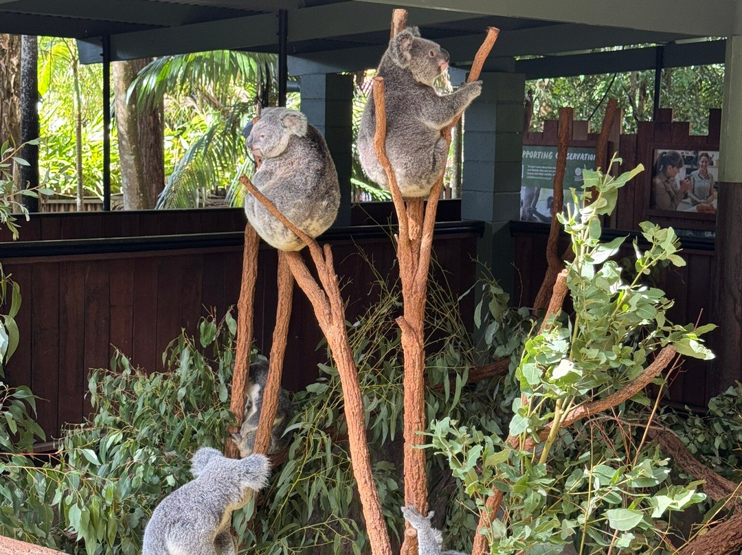 Australia Zoo-Beerwah必去景点