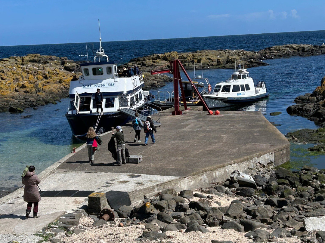 Isle Of May Boat Trips-Anstruther必去景点