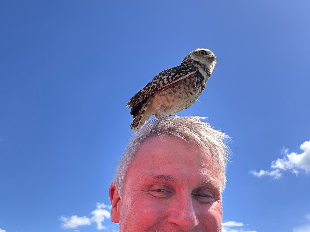 Bird on the Hand Falconry Experiences-Church Langton必去景点