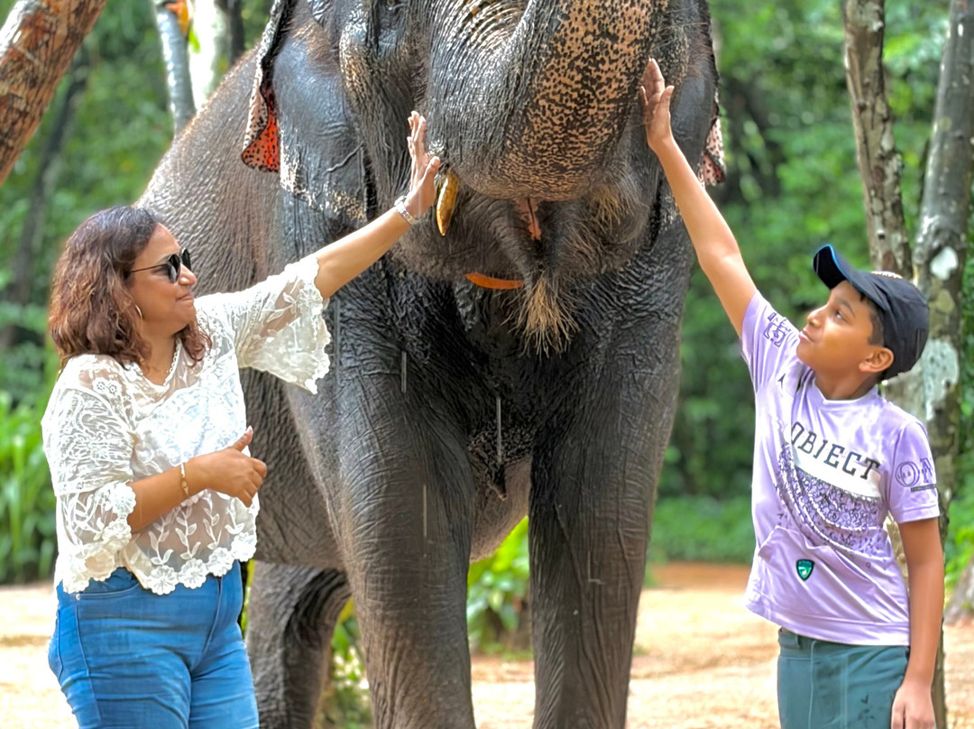 Sri Lanka Signature Tours-Madampe必去景点