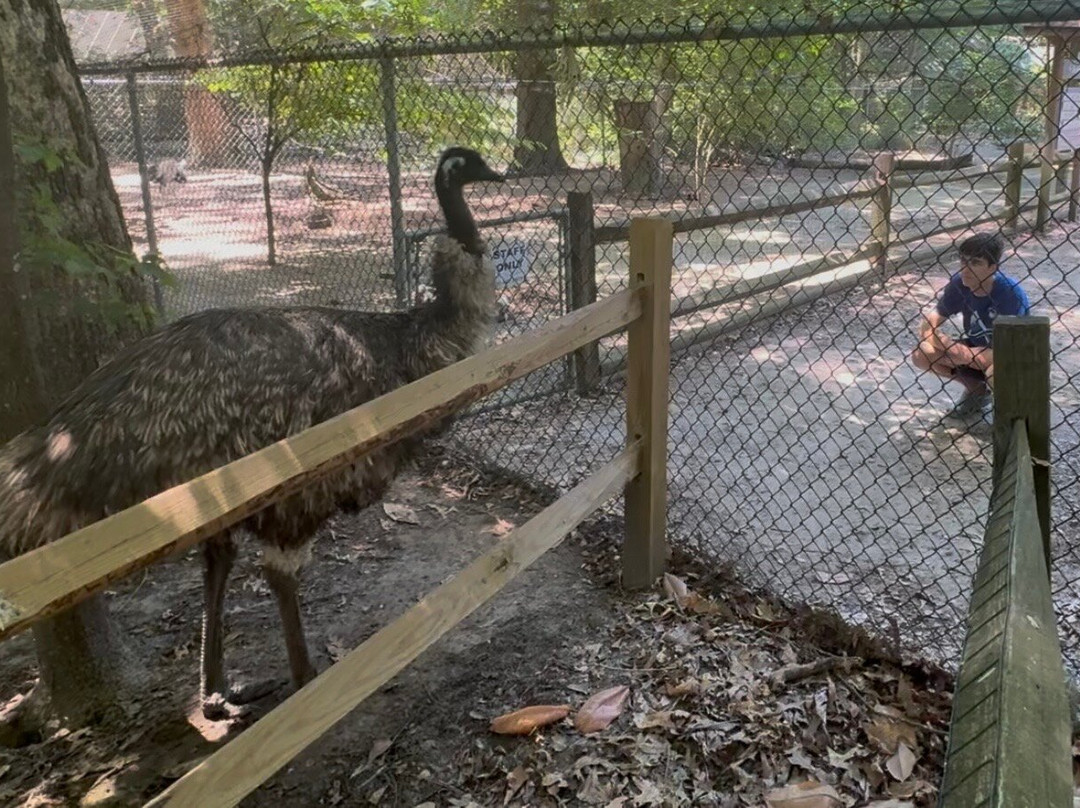 Sylvan Heights Bird Park-Scotland Neck必去景点