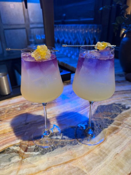 伯福德公牛酒店-旅行者