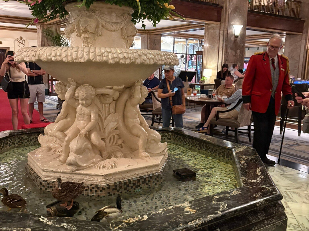 The Peabody Ducks-孟菲斯必去景点