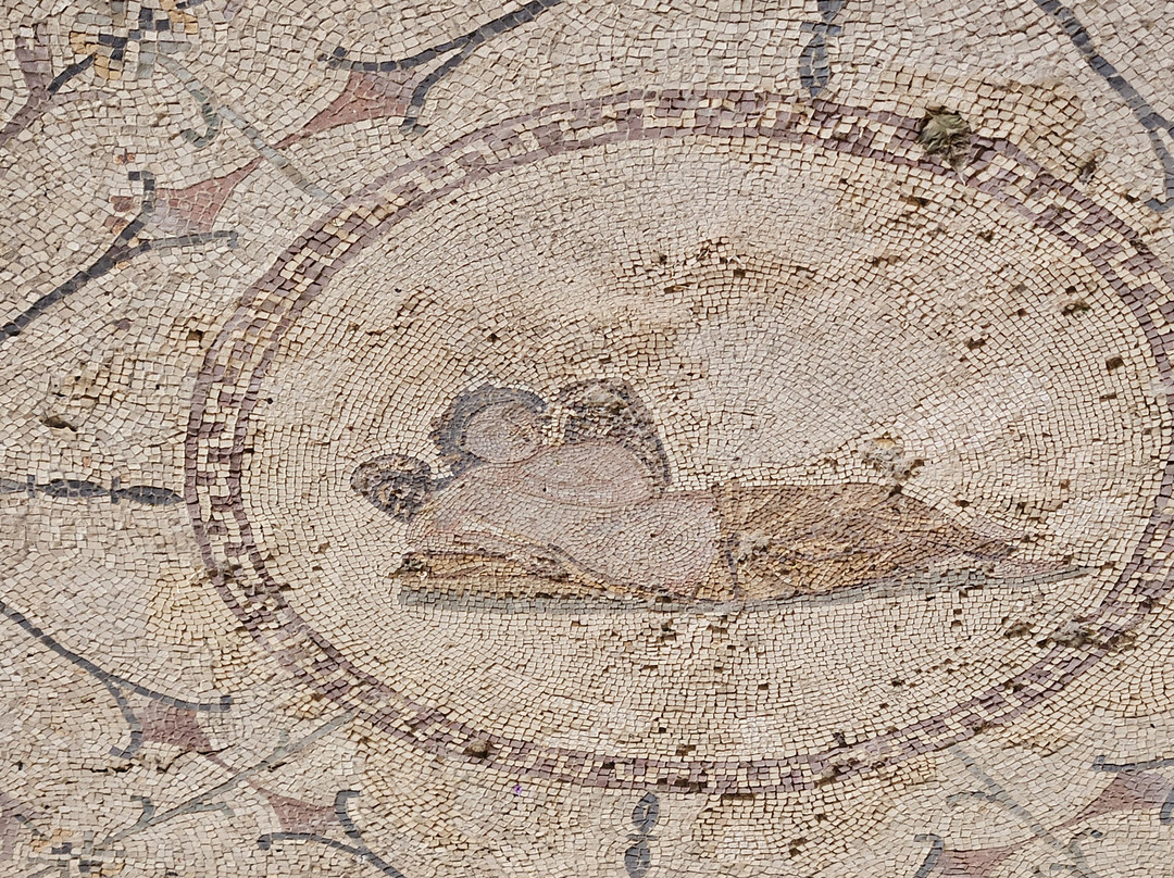 Roman Mosaics Risan-Risan必去景点