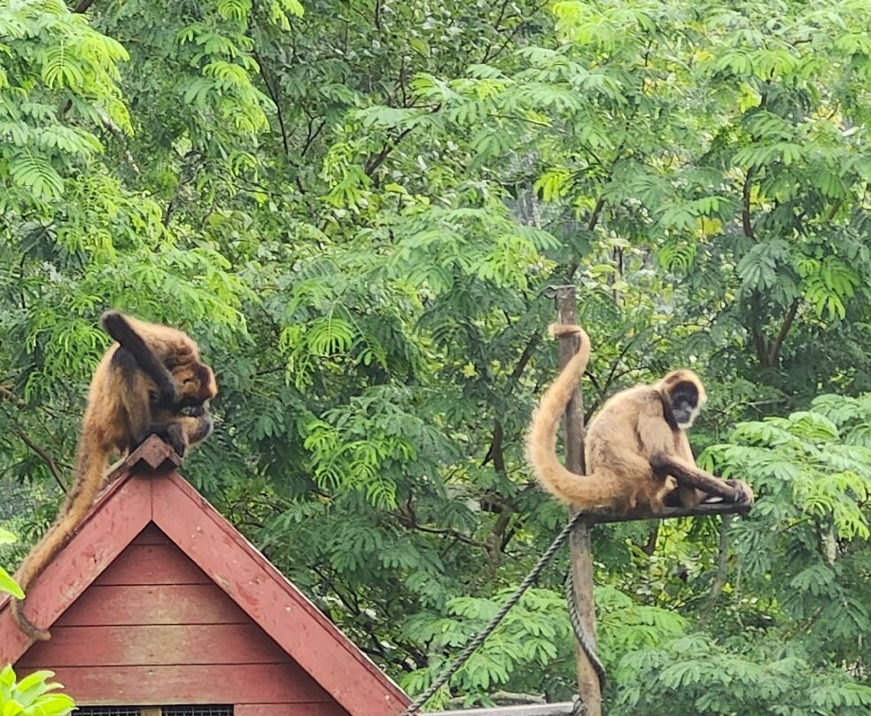 名护Neo自然动植物公园-名护市必去景点