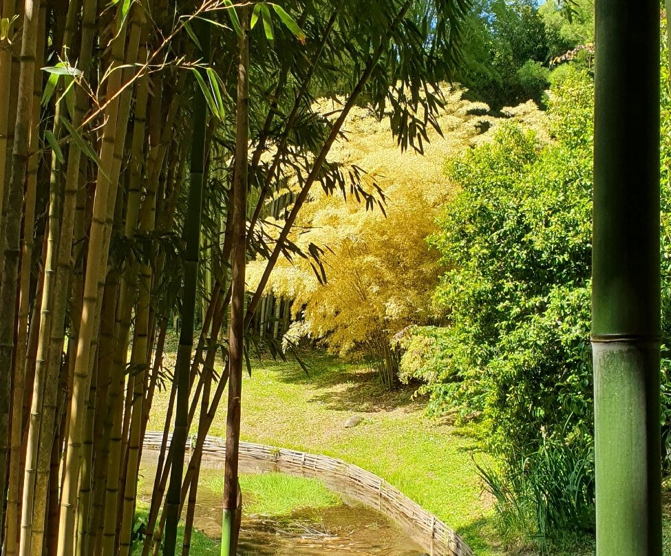 La Bambouseraie en Cévennes-Generargues必去景点