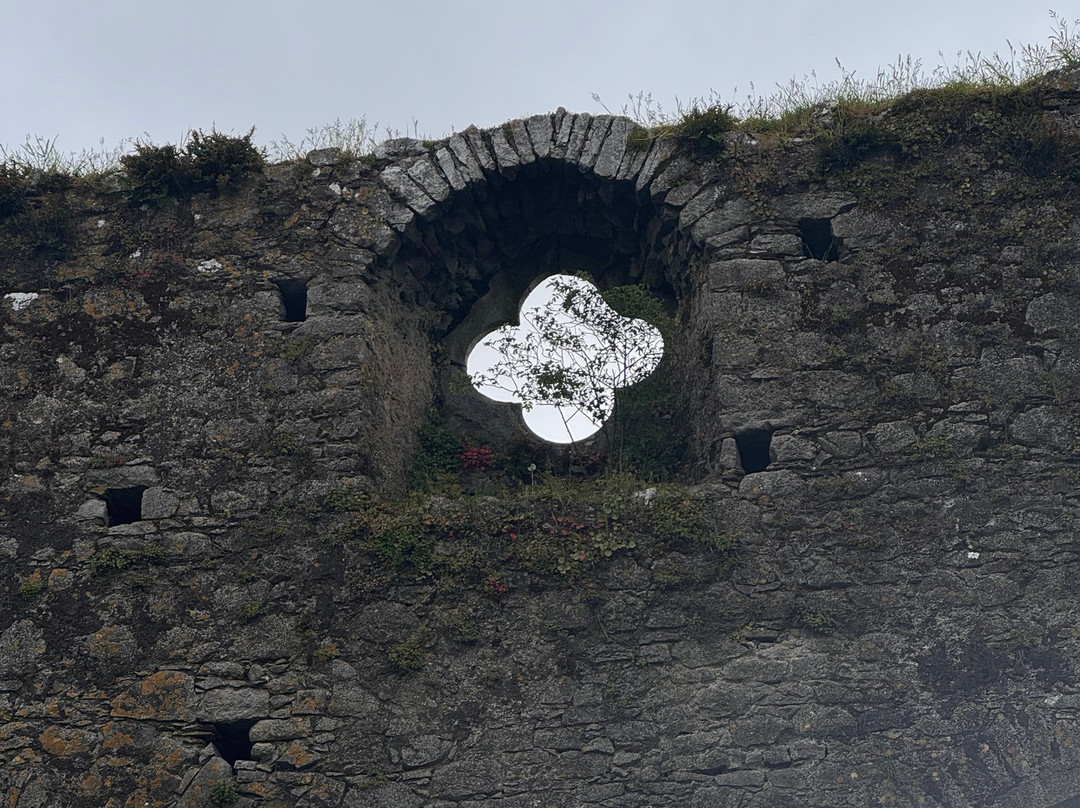 Hore Abbey-卡舍尔必去景点