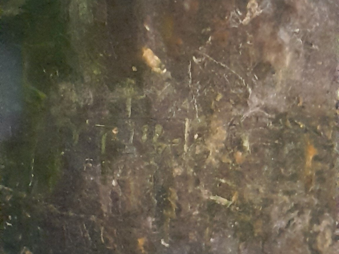 King's Caves-Blackwaterfoot必去景点