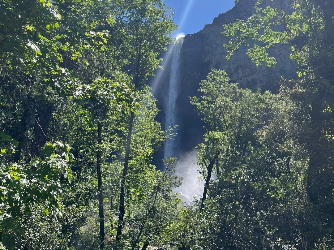 Yosemite 360 Tours-菲什营必去景点