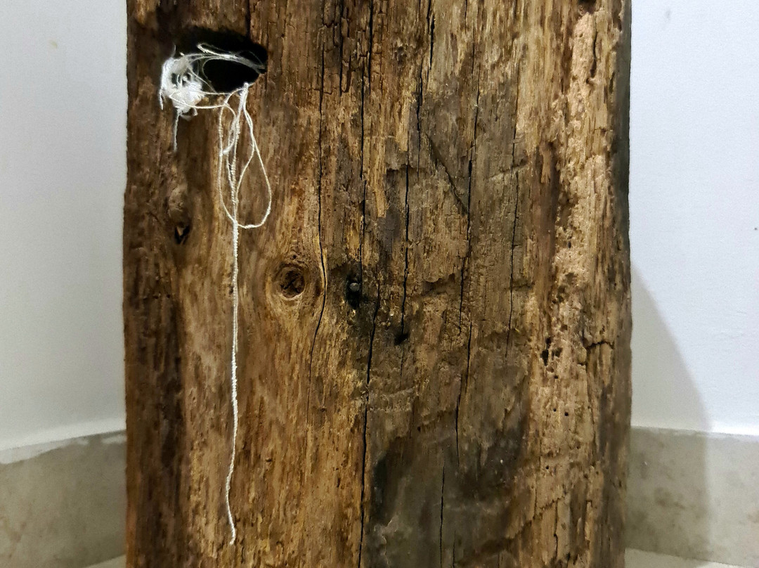 RAJART Art Studio Experience-Zupelevec必去景点
