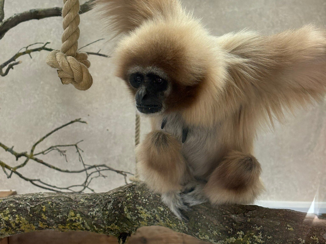 Yorkshire Wildlife Park-Auckley必去景点
