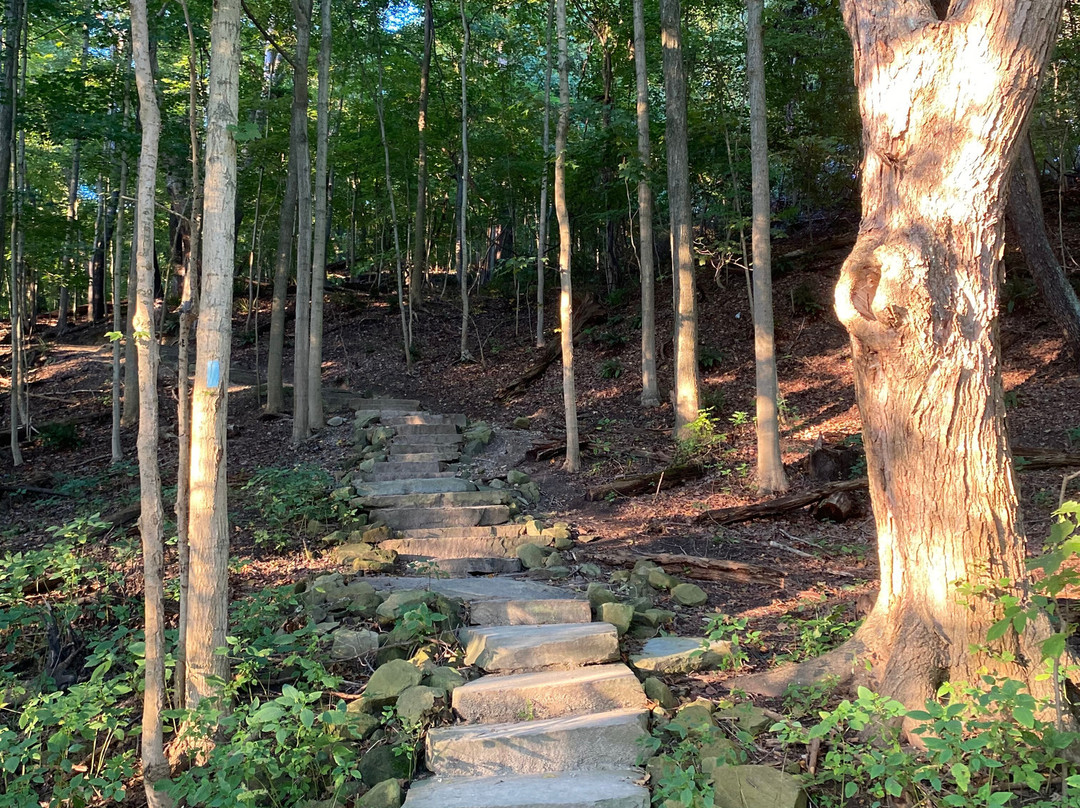 Blue Hen Falls-Brecksville必去景点