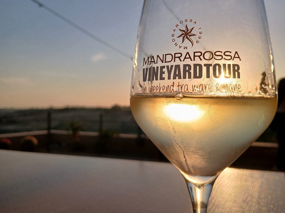 Mandrarossa Winery-Menfi必去景点