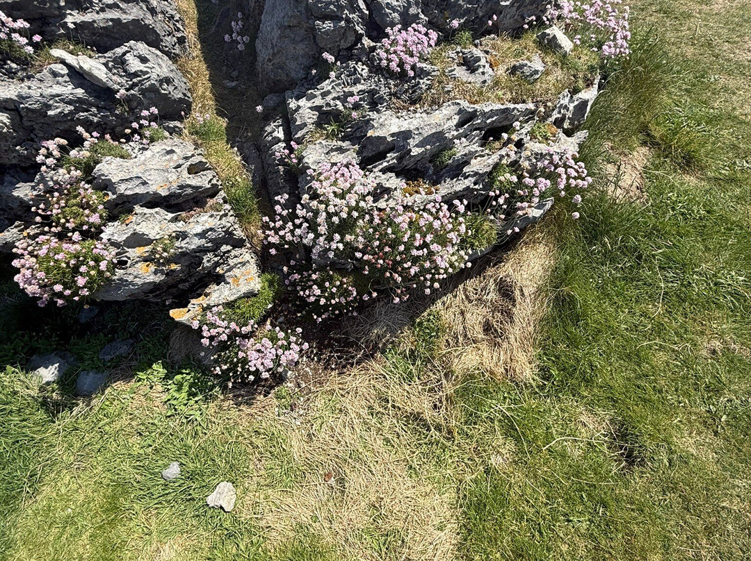 Burren way-Liscannor必去景点