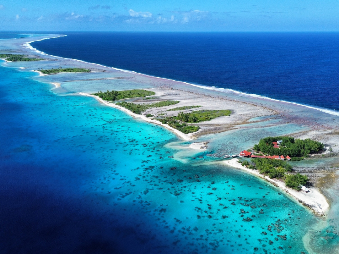 Motu Aito Paradise主图