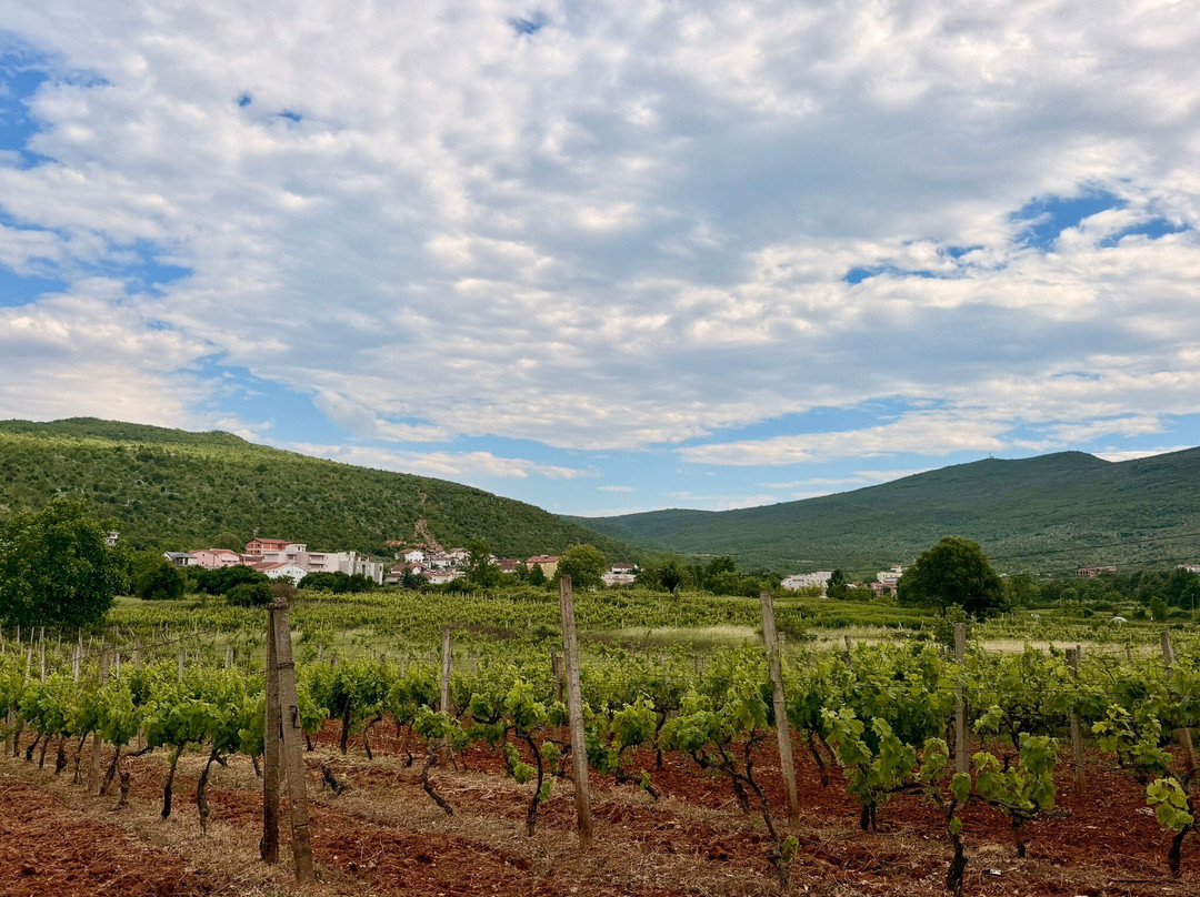 B&B Villa Ellena