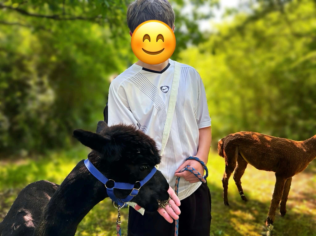 Nana Mac Alpaca Farm-Limalonges必去景点