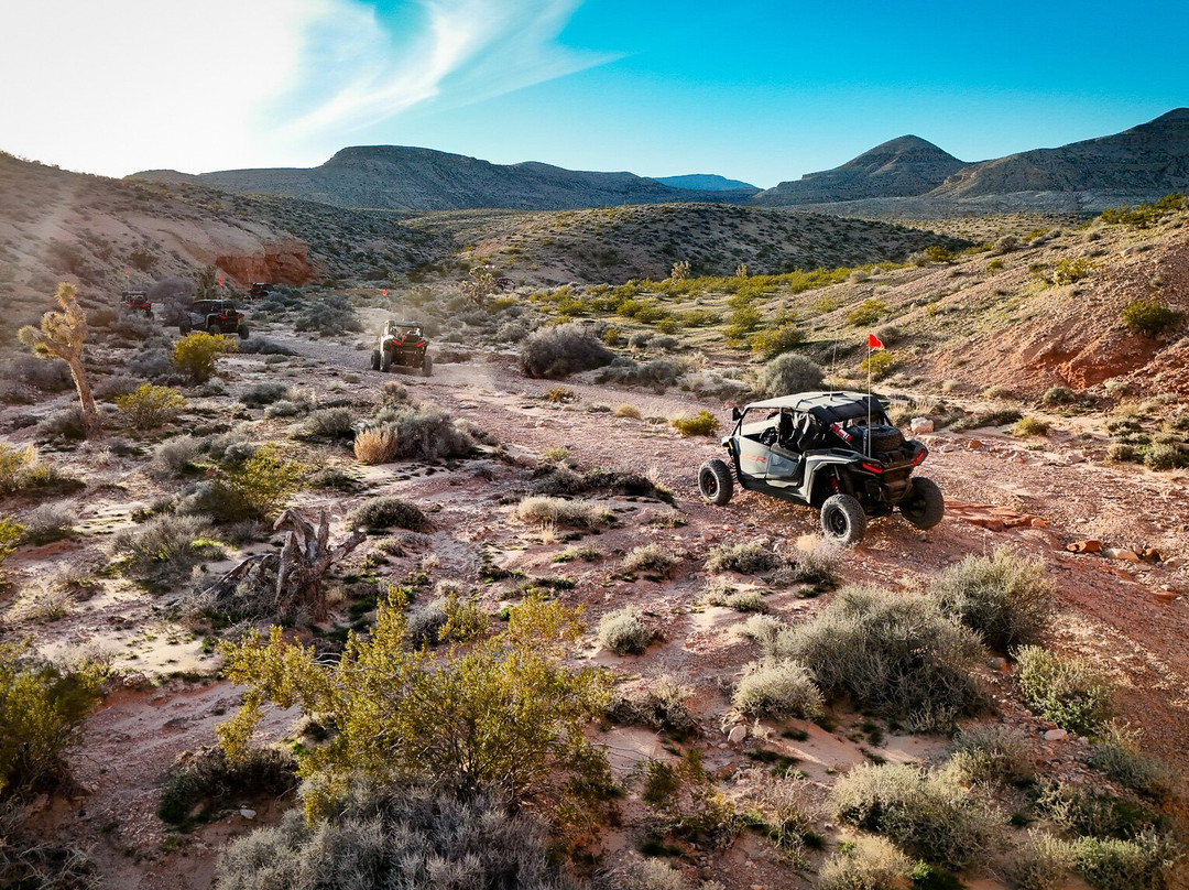 Vegas Off Road Tours-拉斯维加斯必去景点