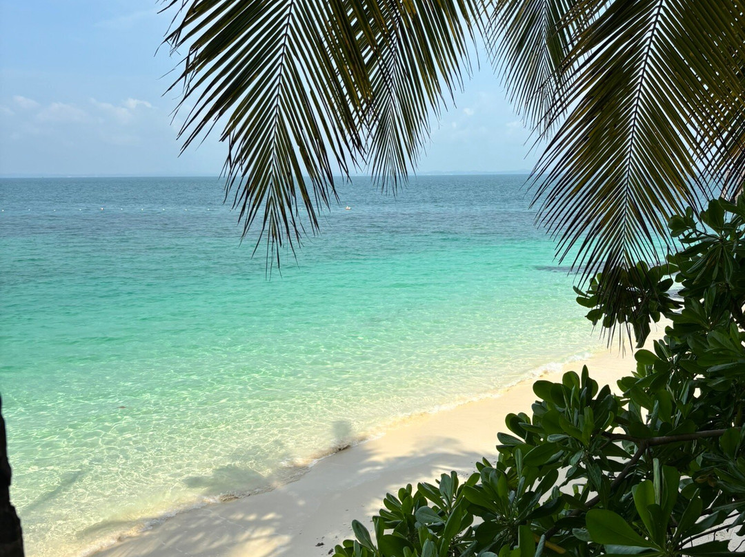 Batu Batu主图